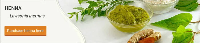 Henna-lawsonia-inermas